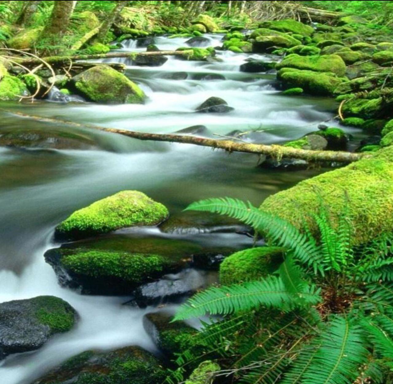 river tours daintree