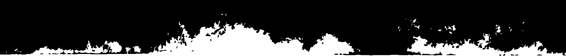 crocodile tours daintree