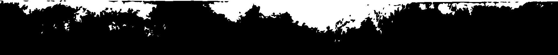 daintree crocodile tours