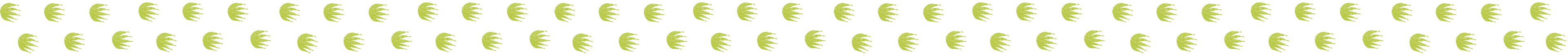 river tours daintree crocodile tours